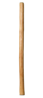 Medium Size Natural Finish Didgeridoo (TW1195)